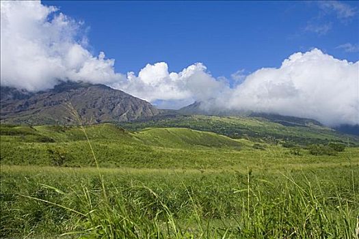 夏威夷,毛伊岛,哈雷阿卡拉火山,间隙,绿色,平静,温暖,白天