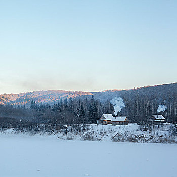 远景,房子,树林,雪中,遮盖,风景,乡村,俄罗斯