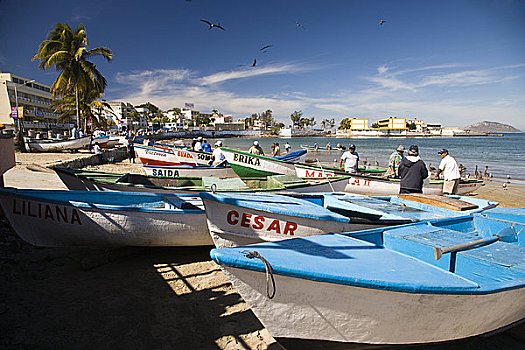 海滩,鱼,船,玛扎特兰,墨西哥