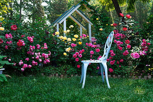 花丛里的座椅