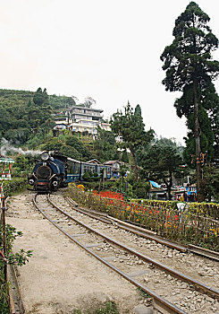 蒸汽机车,轨道,大吉岭,喜玛拉雅,铁路,西孟加拉,印度