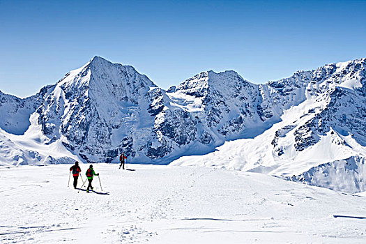 滑雪,登山者,下降,山,苏尔丹,冬天,背影,省,意大利,欧洲