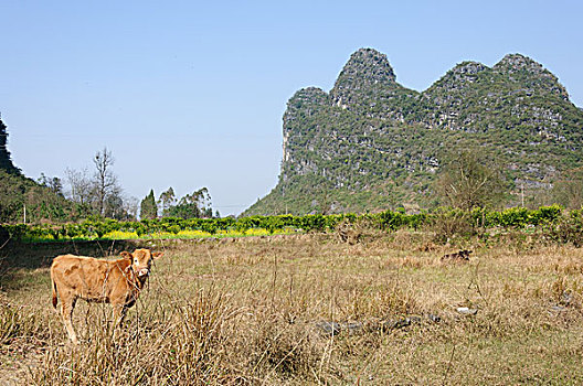 桂林喀斯特山景