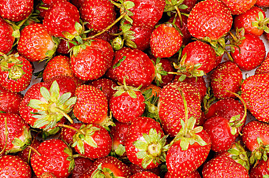 许多,草莓,放置,背景