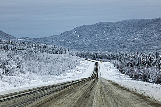 公路,通过,积雪,树林,阿拉斯加公路,北方,落基山脉,地区性,市区,不列颠哥伦比亚省,加拿大