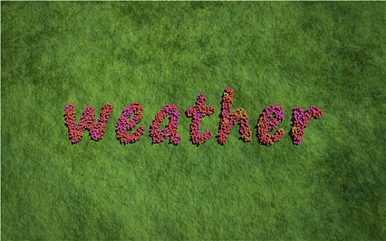 天气,文字,花,草,背景