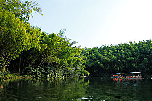 竹林竹海竹子和干净的湖,竹筏划船