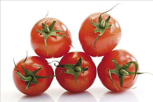 犁形番茄