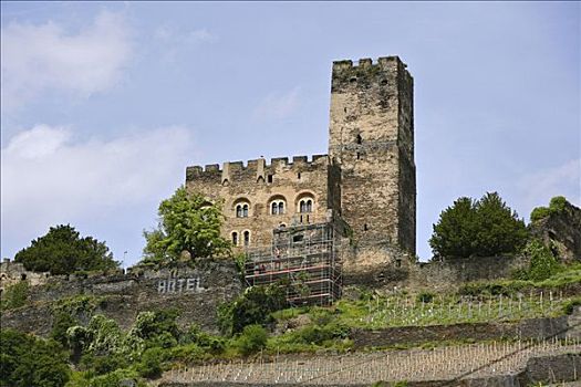城堡,莱茵兰普法尔茨州,德国,欧洲