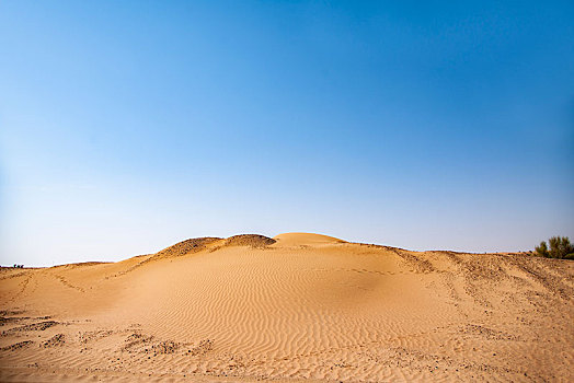 迪拜沙漠保护景区公路边的一堆沙丘