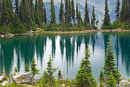 加拿大,不列颠哥伦比亚省,国家公园,雨,圆点,湖
