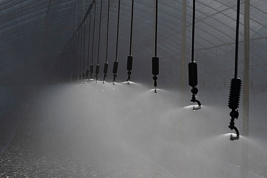 农业大棚种植自动喷淋系统