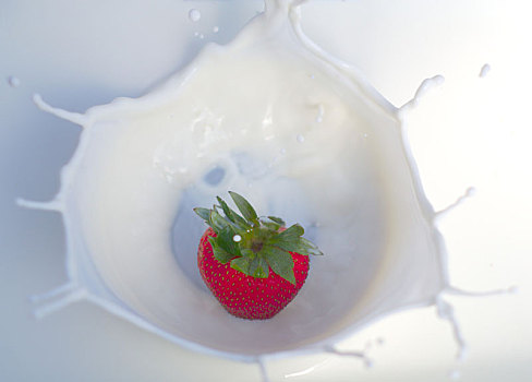 草莓,溅,牛奶,奶油,酸奶,白色,奶昔,甜,红色,水果