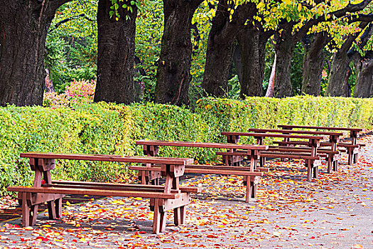 道路,木头,桌子,长椅,公园