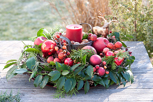 红色,蜡烛,花环,冬青属,针叶树,枝条