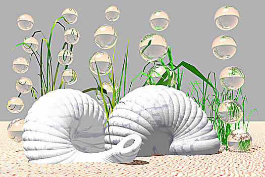 蜗牛,壳,海底,电脑制图