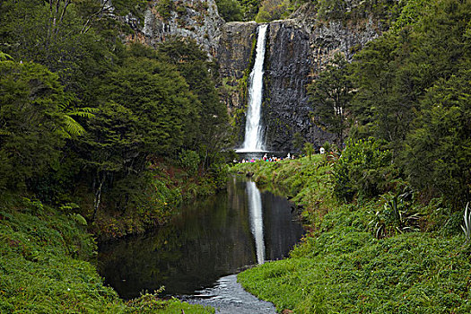 瀑布,山脉,奥克兰,北岛,新西兰