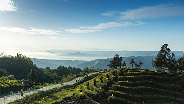 四川宜宾屏山蜿蜒茶山自然风光