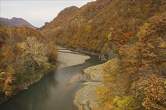 河,山峦,北海道,日本