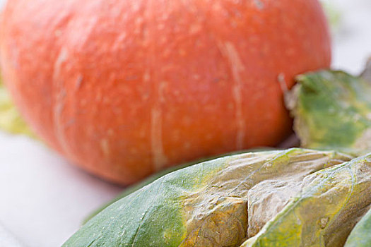 南瓜,蔬菜,健康饮食,白色的背景