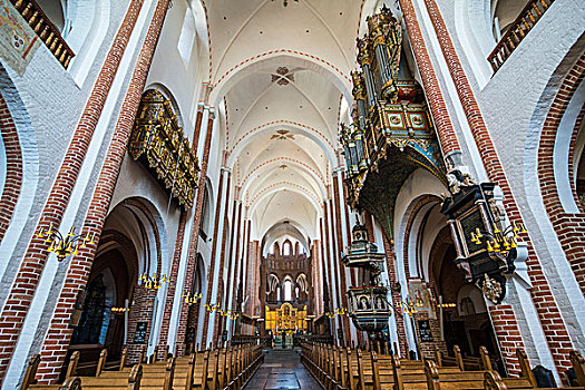 教堂中殿,世界遗产,大教堂,罗斯基勒,丹麦