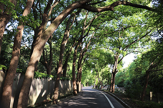 佘山风景区