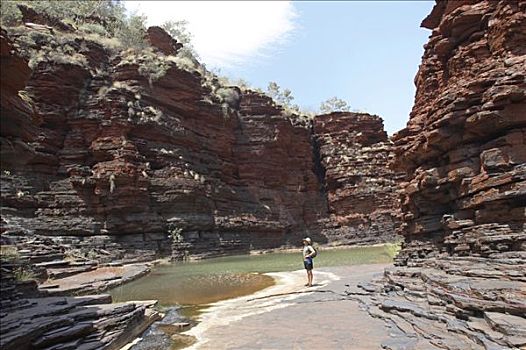 男人,远足,峡谷,卡瑞吉尼国家公园,区域,西澳大利亚