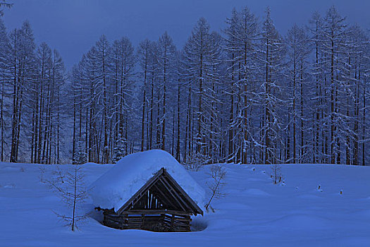 奥地利,提洛尔,冬季风景,黃昏