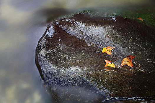 慢门拍山中溪水