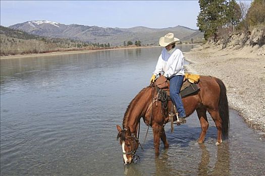 牛仔,骑马,饮用水,河,蒙大拿,美国