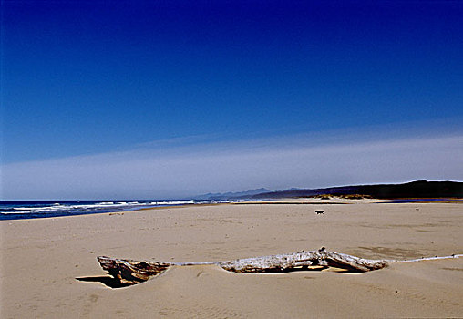 南非,海滩