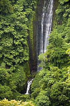 瀑布,乌波卢岛,萨摩亚群岛