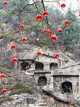 中国,红灯笼,树枝,洞穴