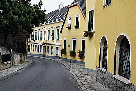 街道,黄色,建筑,维也纳,奥地利
