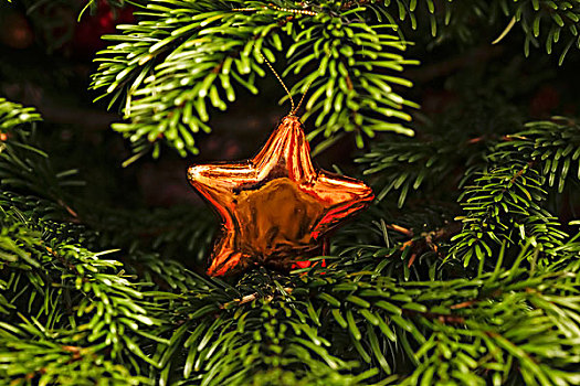 圣诞装饰,圣诞树,德国,欧洲