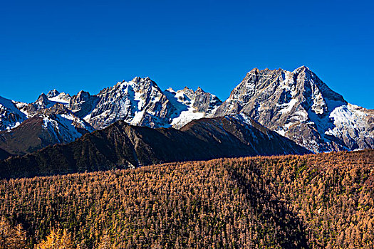 云南白马雪山