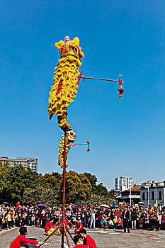 舞狮,春节,庆典,中国文化