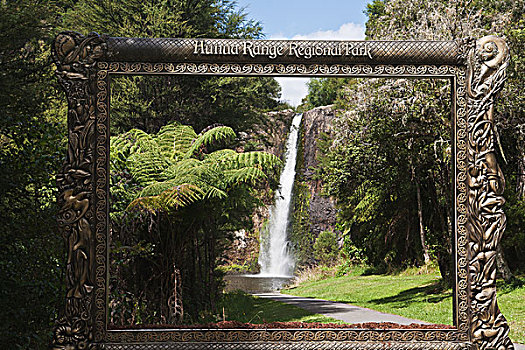 地方公园,风景,画框,新西兰