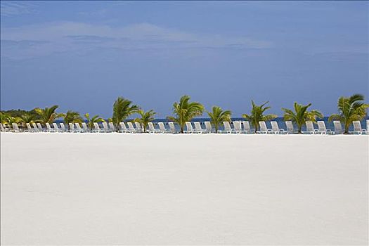 休闲椅,棕榈树,海滩,小湾,海湾群岛,洪都拉斯