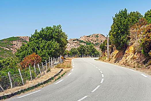 转,山,公路,道路,风景,科西嘉岛,维基奥港,区域