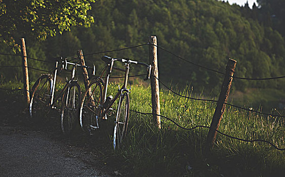 两个,自行车,倚靠,围栏,乡村