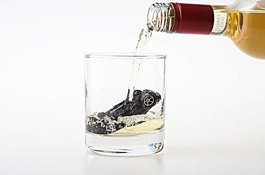 酒與汽車