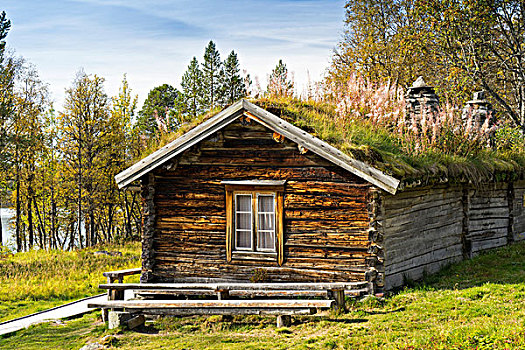 老,木屋,草,屋顶,国家公园,挪威,欧洲