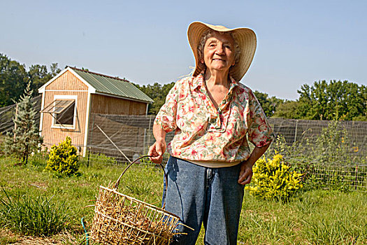 老年,女人,篮子,稻草,农场