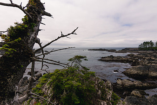 遥远,沿岸,风景,岛屿,悬崖,云