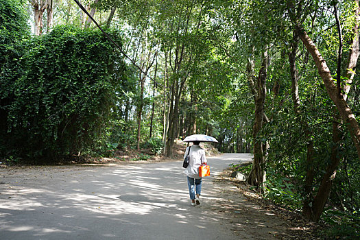 羊城广州通往火炉山附近民宿客栈的小路