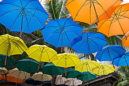 毛里求斯,路易港,水岸,区域,彩色,伞,遮盖,大幅,尺寸