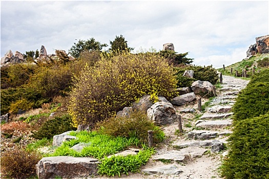 石头,楼梯,假山庭园,植物园