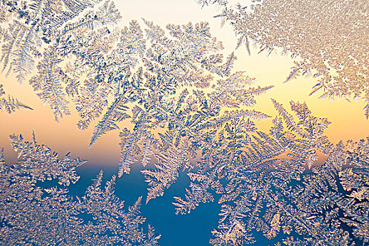 霜,窗户,黎明