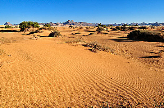 小,沙丘,旱谷,阿尔及利亚,撒哈拉沙漠,北非